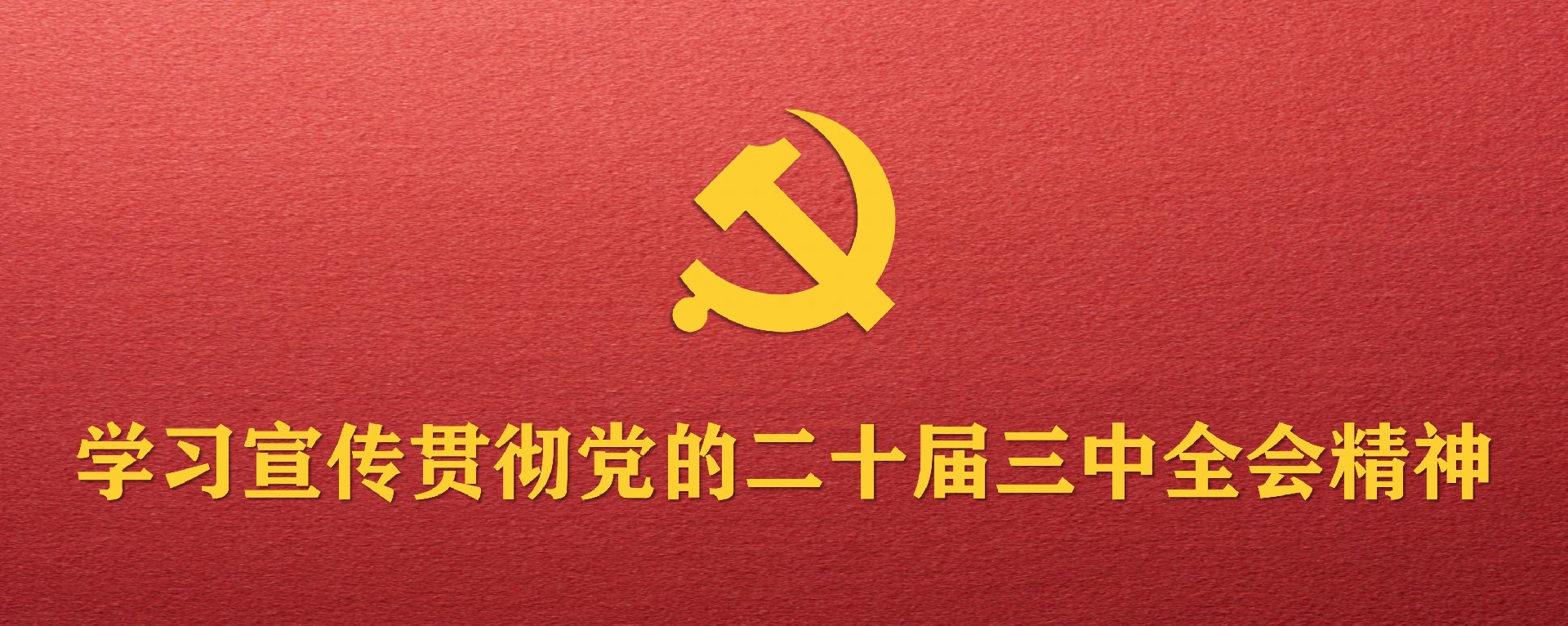 专栏_01